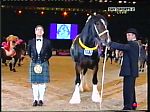 Hoys09-009.jpg