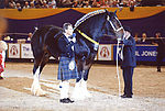 Full-PP-Hoys09.jpg